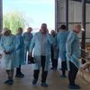 România pregătește reluarea exporturilor de ovine către Libia / ANSVSA speră ca primul transport să plece în perioada următoare