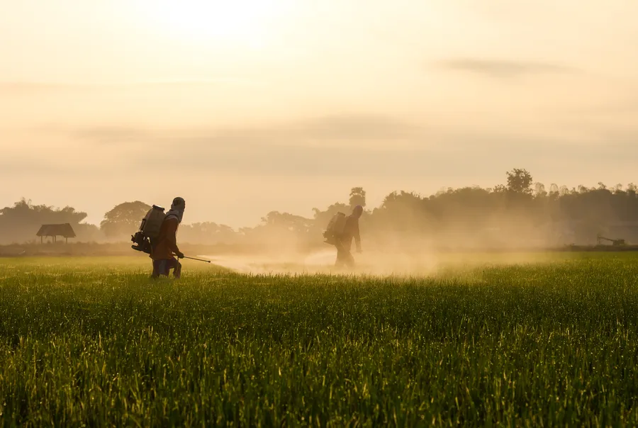 Poluarea cu azot din agricultură costă Europa până la 182 de miliarde de euro anual. Sursa foto: Dreamstime