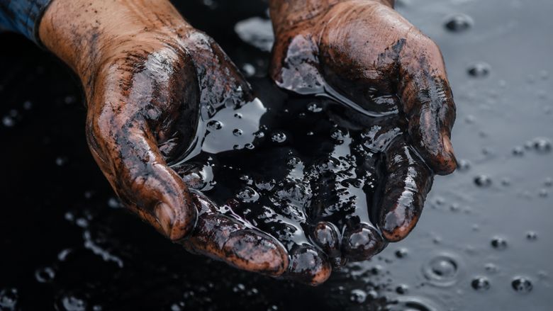A căutat apă pentru fermă, dar a dat peste petrol / Povestea unui fermier din Brazilia care a făcut o descoperire neașteptată