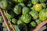 Cum alegi un pepene roșu copt și dulce / Indiciul ascuns pe care îl caută cunoscătorii