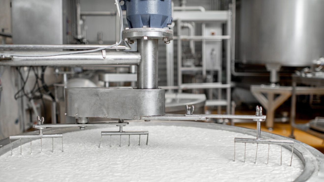 Descoperire științifică în industria lactatelor / Noi mecanisme bacteriene pot preveni infecțiile virale din fermentație / Bacteriile care „se apără” de viruși ar putea revoluționa producția de brânzeturi și iaurturi, arată un studiu internațional