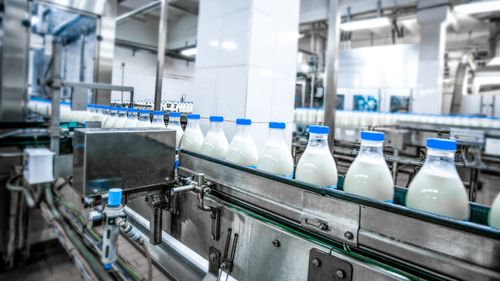 Bulgaria importă produse lactate din România: Fermele bulgăreşti se plâng că lucrează în pierdere