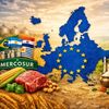 Agricultorii UE prinși între India și Mercosur. Ce căi blochează și ce ferestre deschid cele două tratate comerciale
