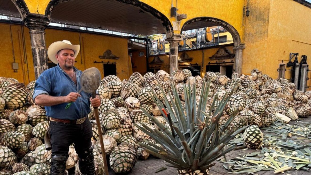 FOTO | Mexic, locul unde gustul are întotdeauna o istorie / O călătorie senzorială între Guadalajara, Puerto Vallarta și Valle del Tequila