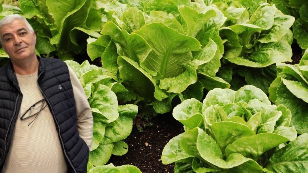 De la pompă la raft | Criza carburanților va afecta grav agricultura în 2026. Ion Păunel, legumicultor din Olt: Dacă fermierii primesc un șoc anul acesta și nu reușesc să se capitalizeze, o să vedeți falimente multe