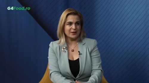 VIDEO | Mădălina Giurescu, Bio Cătina: „Nu e greu să cultivi cătină. E mai greu s-o culegi. Am lucrat cu deținuți, am lucrat cu oameni din sat. Acum am importat forță de muncă din diverse țări. E singura variantă”