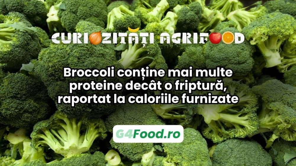 Curiozitate agri-food: Broccoli conține mai multe proteine decât o friptură, raportat la caloriile furnizate