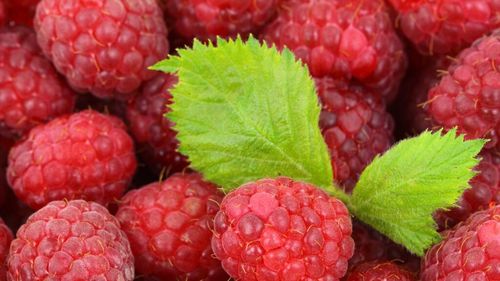 Cele mai bune patru fructe, recomandate când ești la dietă/Sunt bogate în fibre și te vor ajuta să slăbești