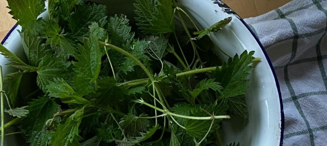 Mâncare de urzici ca în Ardeal / De post, de dulce sau chiar cu slănină afumată, era mâncarea preferată a bunicilor noastre, primăvara