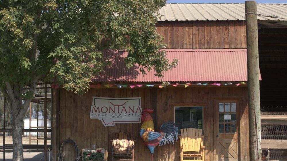 Fermierii americani apelează la Airbnb și își completează veniturile prin agroturism pentru a supraviețui recesiunii agricole