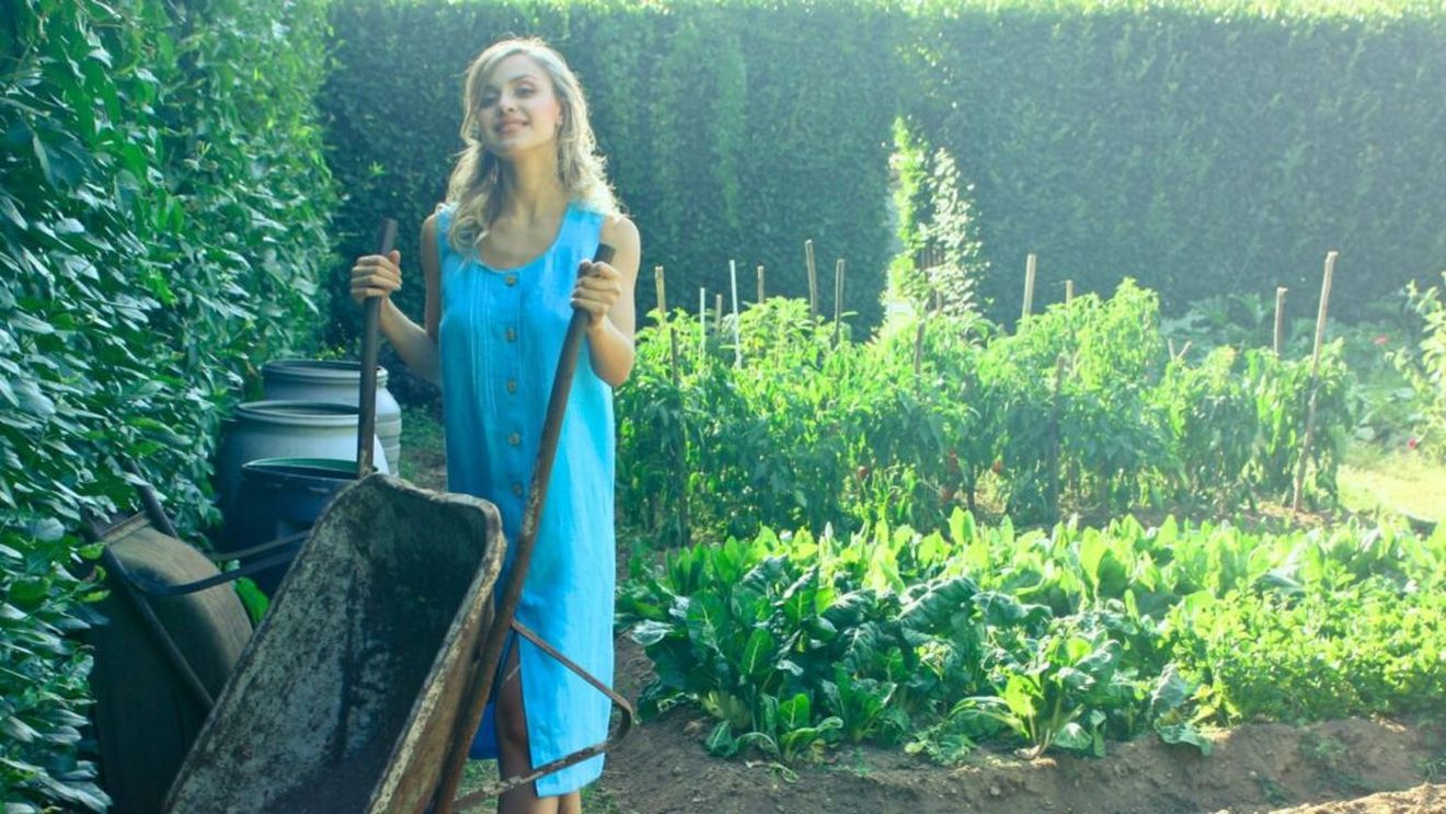 Agricultura ecologică: Prădătorii naturali, folosiți pentru combaterea dăunătorilor / Compostul, fertilizant principal / Fructele și legumele, cele mai sănătoase din piață