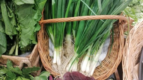 Ceapa verde din Egipt, cerută pe piața germană, din cauză că producția autohtonă este întârziată cu câteva săptămâni, ca urmare a frigului persistent