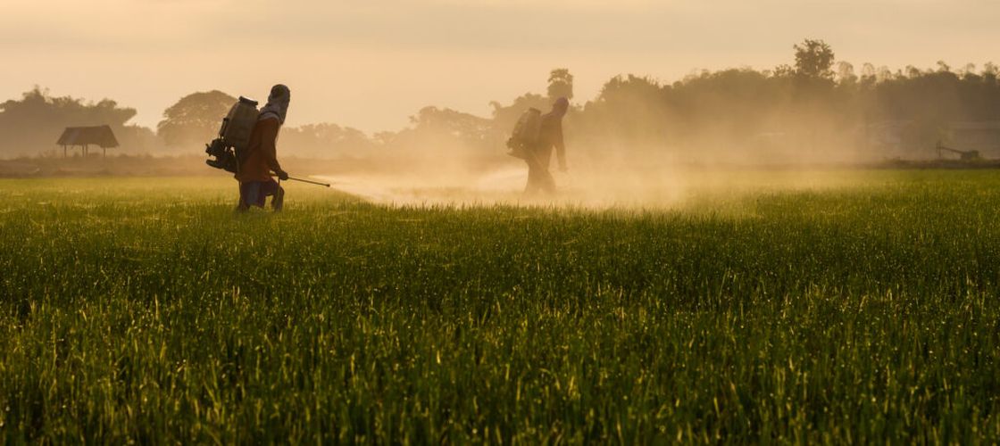 Îngrășământul viitorului? Un nou tip de fertilizant ajunge în SUA după succesul din Europa și promite să reducă costurile din agricultură