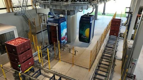 Merele italiene au acum propriul lor teleferic / Recolta este transportată de pe dealuri până în depozitele de la bază