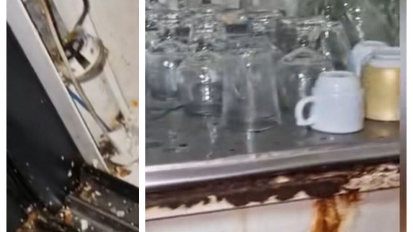 ANSVSA a suspendat activitatea restaurantului din Reghin care a organizat „Balul însuraţilor”, eveniment la care peste 30 de persoane au acuzat stări specifice toxiinfecţiei alimentare