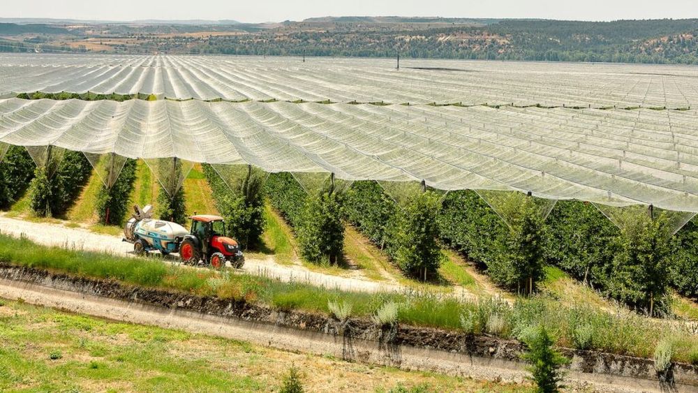 Turism și mere | Ruta mărului de Soria pe cea mai mare plantație din Europa/ Are peste 1000 de ha și 2.340.000 de pomi/ Anual se produc 195 de milioane de mere | FOTO - VIDEO