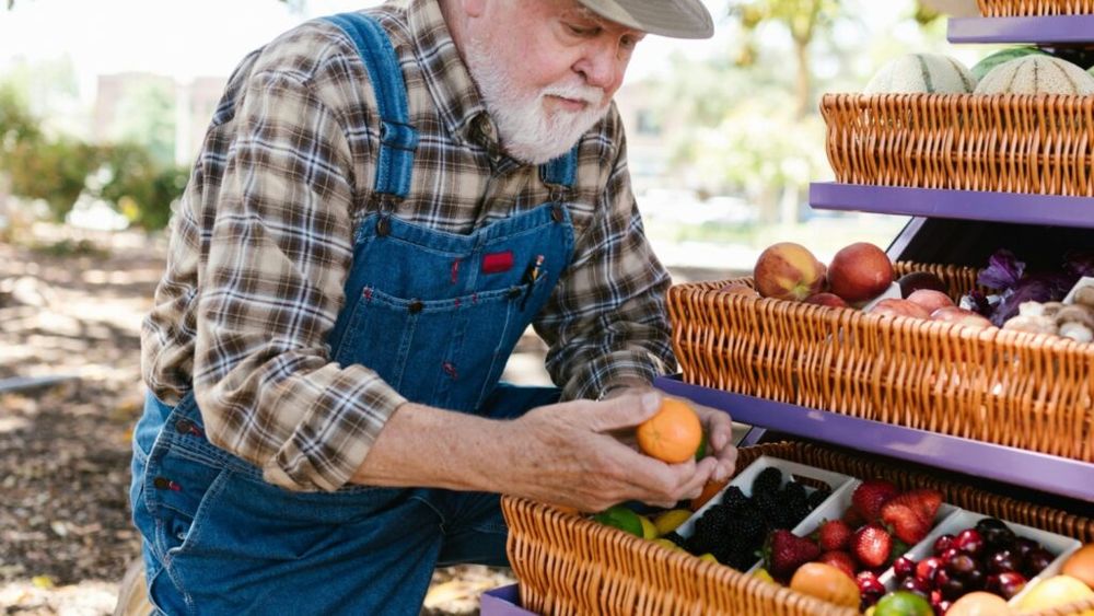 Știai că există fructe care pot ajuta la creșterea naturală a nivelului de testosteron? Citricele, avocado, banana, rodia și alte câteva fructe pot stimula celulele care produc acest principal hormon masculin
