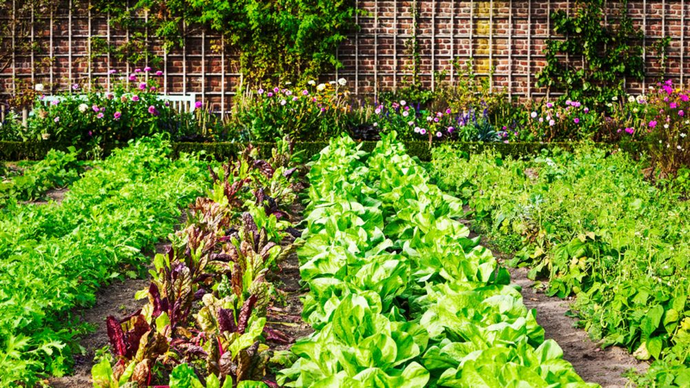 Peste 120 de expozanți, ateliere și demonstrații pentru grădinari, la „Zilele Horticulturii Bucureștene”, între 7 și 10 mai