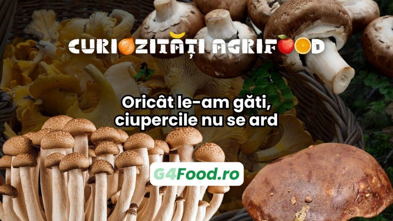 Curiozități agrifood - 14 aprilie: Oricât le-am găti, ciupercile nu se ard