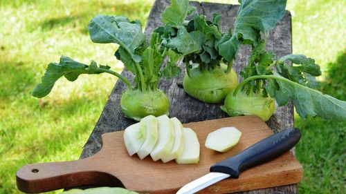 Gulia: O legumă nutritivă cu tradiție și viitor promițător / Acesta este un superaliment care ajută la pierderea în greutate, susține sănătatea rinichilor și previne apariția unor boli