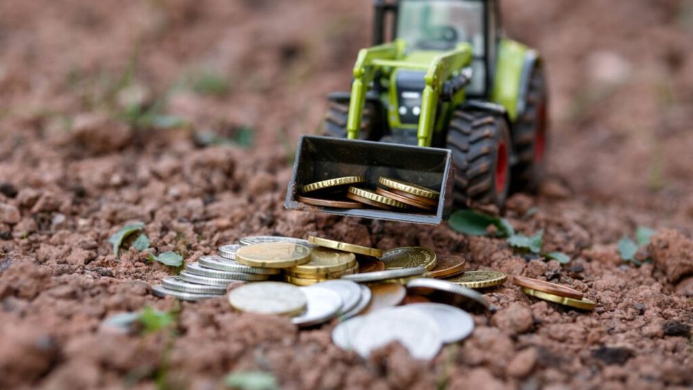 ANALIZĂ Subvențiile agricole: fermierii au cerut, statul urmează să dea / Plățile directe: un ”cașcaval” de 2 miliarde de euro feliat pentru 700.000 de beneficiari