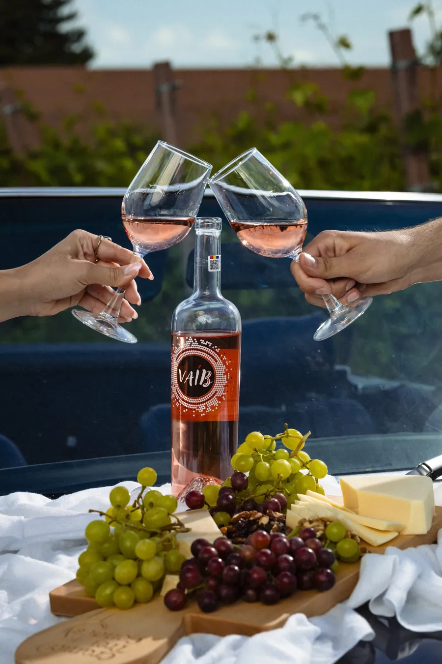 toast-cu-vin-vaib-si-platou-de-struguri-si-branzeturi-crama-3-conace