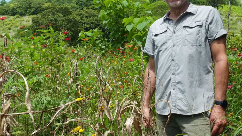 Eduard Müller (cercetător): „Modul în care producem alimente și fibre textile provoacă 80% din daunele aduse planetei” / Regenerarea ecosistemelor fără a provoca daune mediului este cheia pentru a reface solurile degradate