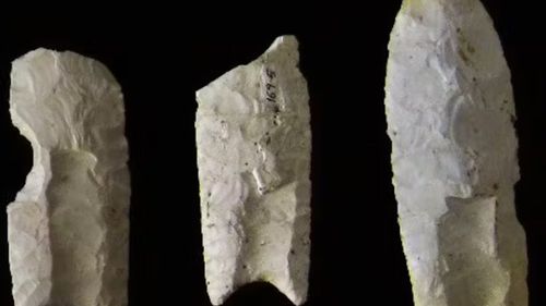 Unelte din oase de elefant şi de hipopotam, realizate de hominizii pre-sapiens/ Erau folosite, probabil, pentru a tăia, rupe sau sfărâma carcase şi carne de animale