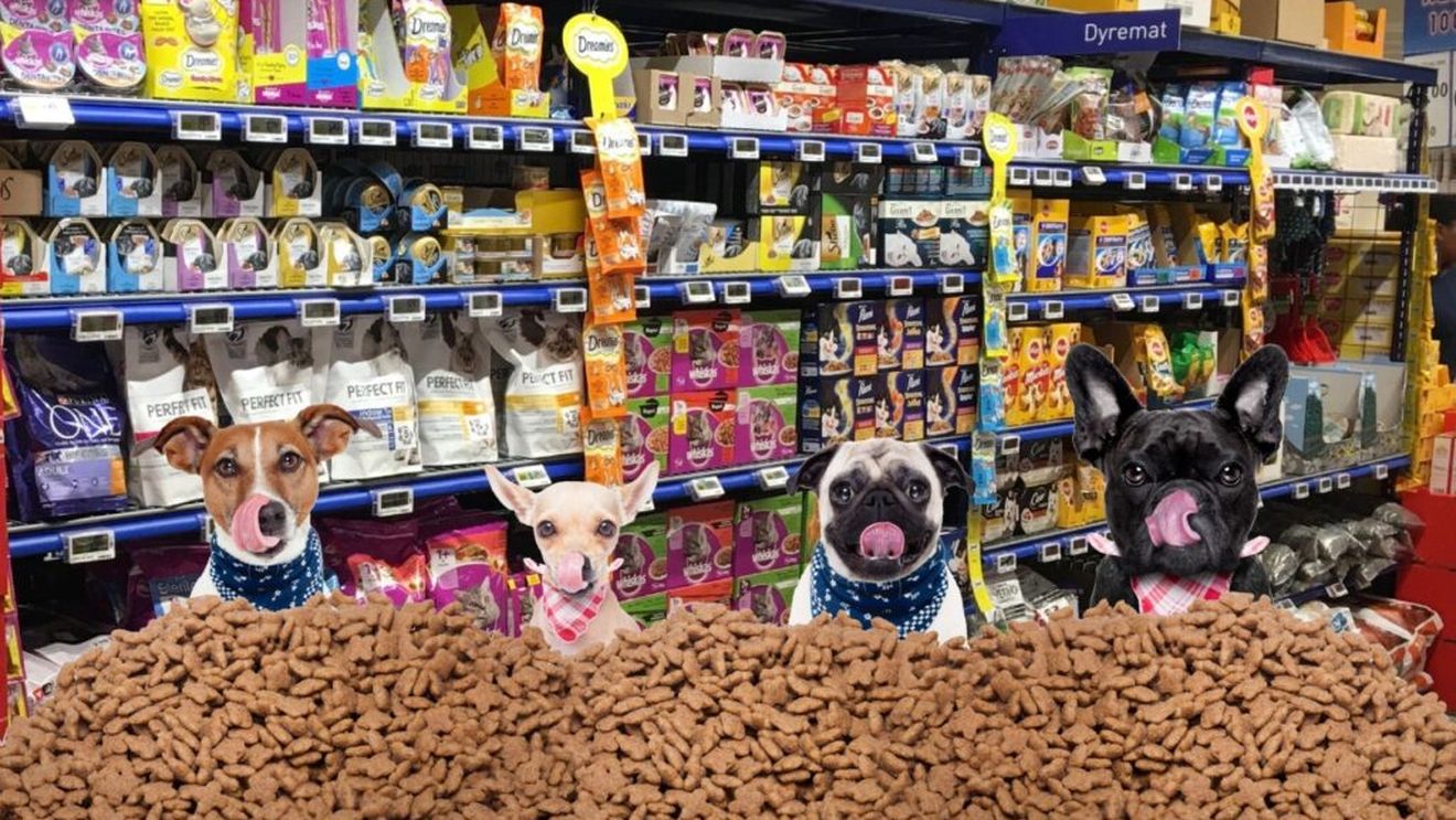 EXCLUSIV: Topul celor mai populare 18 branduri de hrană pentru animale de companie din România. Mars are două mărci în top trei, iar un private label de la Kaufland este aproape de podium
