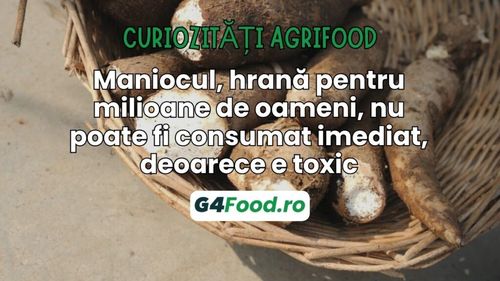Curiozități agrifood - 11 iulie: Maniocul, hrană pentru milioane de oameni, nu poate fi consumat imediat, deoarece e toxic