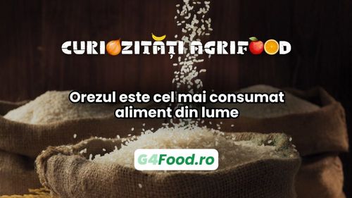 Curiozități agri-food 30 ianuarie: Orezul este cel mai consumat aliment din lume