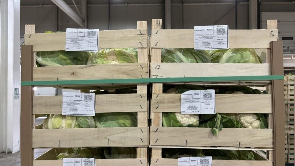 Așa-zișii suveraniști uită, în mod voit sau nu, că în hypermarketuri este vândută cu preponderență marfă agroalimentară românească / Petru Pascal, viticultor, Podgoria Huși: „Hypermarketul mi-a salvat afacerea”