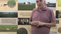 VIDEO | Cultivarea orezului. Terenul se nivelează cu ajutorul laserului și zeci de mii de ha de teren se transformă în suprafață de apă în doar 48 de ore