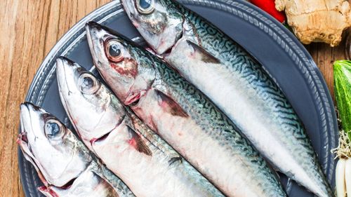 Aproape 600 de kilograme de scrumbie, confiscate la o pensiune din Delta Dunării / Peștele nu avea acte de proveniență, iar întreaga cantitate va fi distrusă