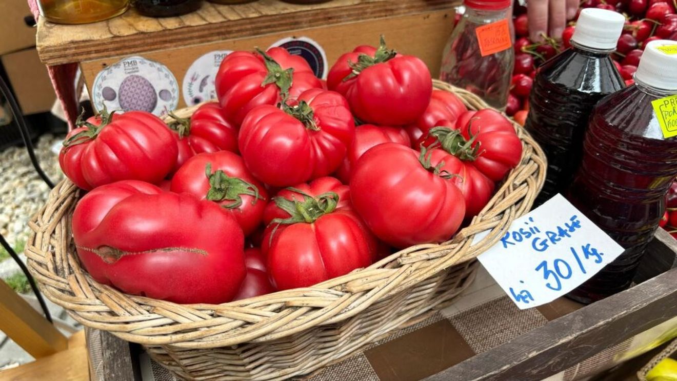 Unul dintre cei mai mari producători de tomate din Buzău crede că acordul cu blocul Mercosur va afecta producţiile româneşti: „Va exista o concurență neloială”