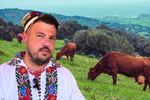 VIDEO | Carne de vită premium din Spania. Adrian Doboș (El Chuleton): Alimentația animalului e importantă. Spaniolii cresc vitele pentru carne. E mare diferență față de ce facem noi