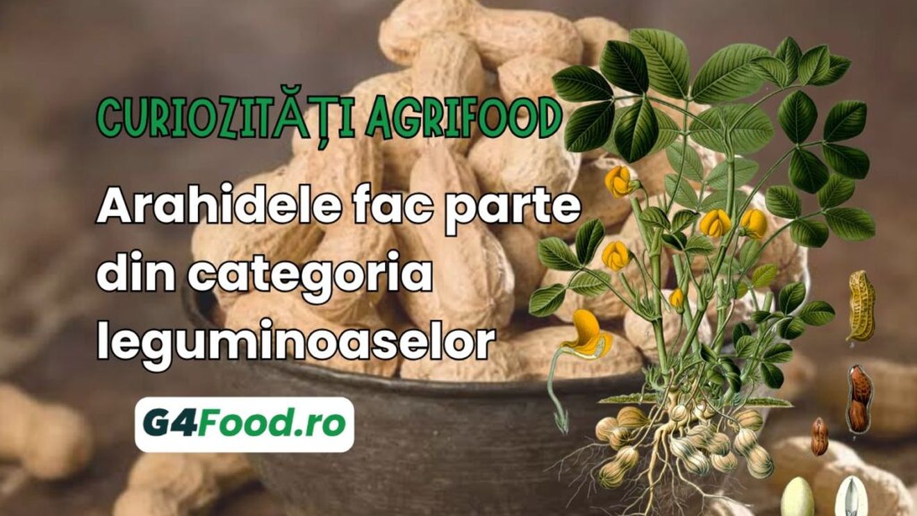 Curiozități agrifood - 10 iulie: Arahidele fac parte din categoria leguminoaselor