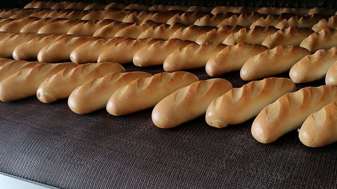 Sume maxime exorbitante acordate prin programul INVESTALIM, finanțat de la bugetul de stat: 57.750.000 de euro, suma maximă pe care o poate încasa o firmă cu profil agroalimentar