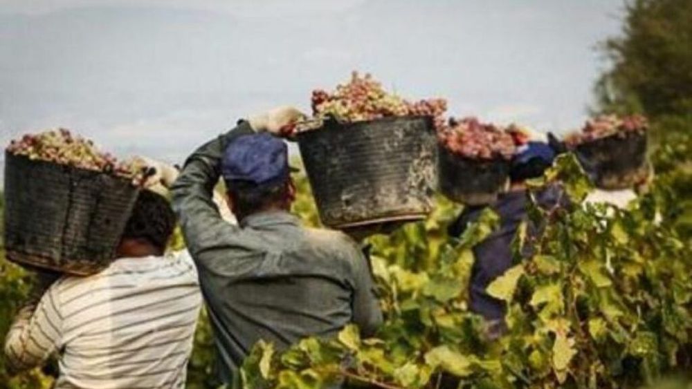 Agromafiile din Italia și-au dublat cifra de afaceri în ultimii zece ani. Organizațiile criminale din agricultură exploatează munca imigranților prin cooperative fantomă care nu plătesc taxe