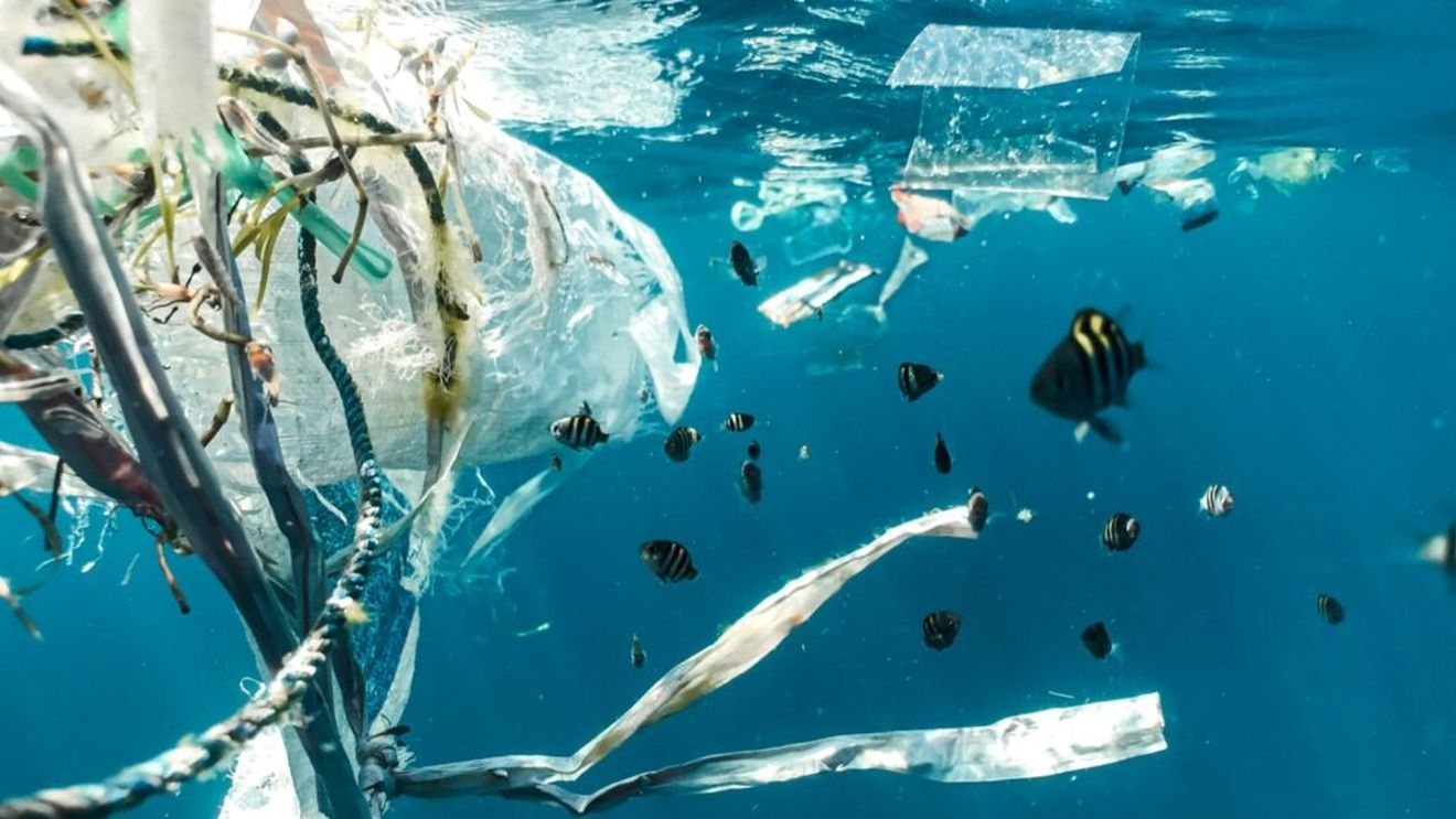 Expoziţie multimedia "Apa ne spune povestea", la Casa Avramide din Tulcea/ Lucrări semnate de 11 artişti, pe teme legate de ecologia apei, Dunăre şi impactul poluării asupra mediului