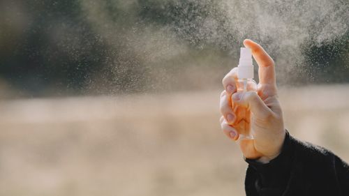 Spray-urile împotriva insectelor pot afecta grav albinele sălbatice / Cercetătorii avertizează asupra unui pericol invizibil