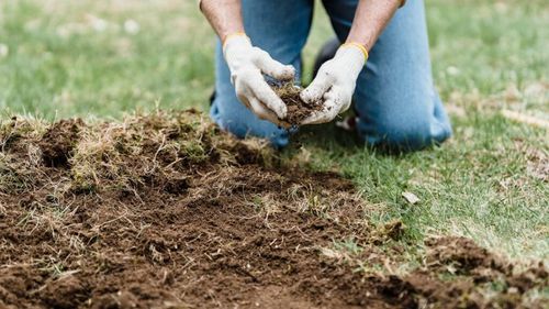 6 mituri despre nutrienți și testarea solului / Le analizăm pe rând și le demontăm, inclusiv faptul că „orice produs pe bază de var este suficient”