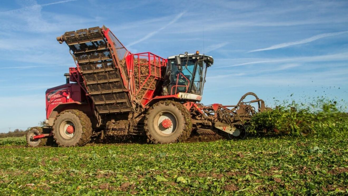 INS: România importă tot mai multe alimente, deşi este printre cei mai mari producători agricoli din Europa