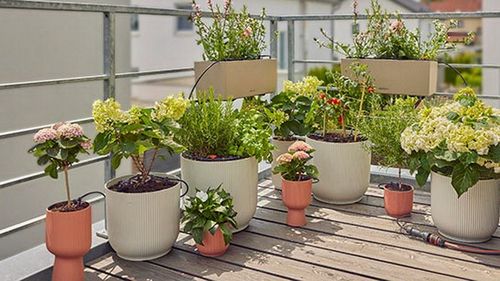 Cum să alegi sistemul de irigație perfect pentru plantele de pe terasă sau balcon/ Există variante simple și opțiuni cu conectare la sursă permanentă de apă