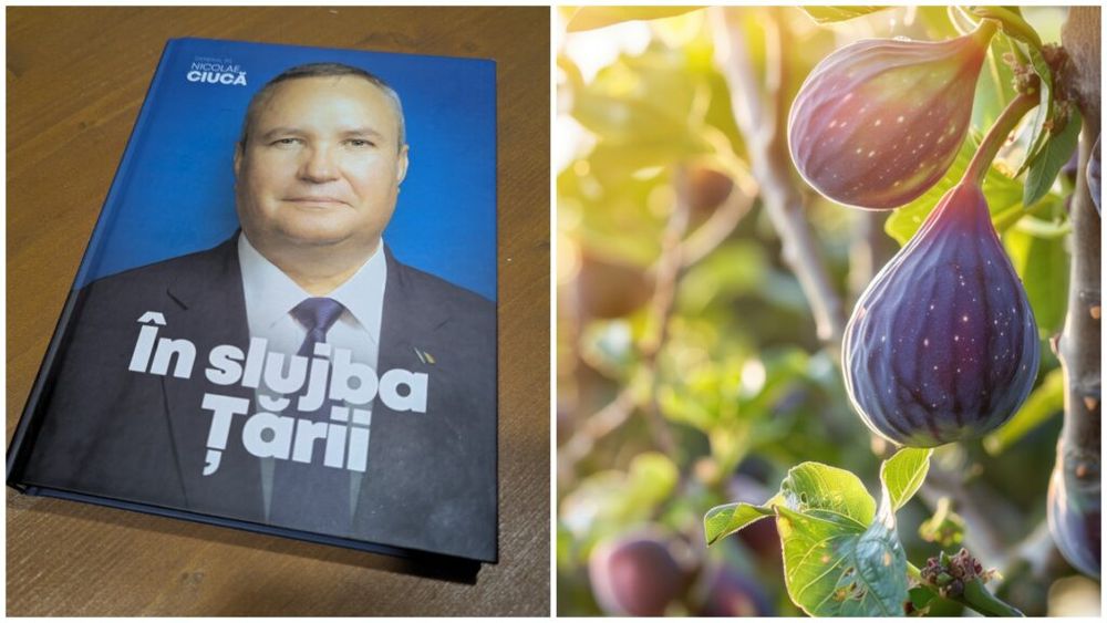 Nicolae Ciucă vorbește, în cartea „În slujba țării”, despre smochinul care „a înfrunzit şi a înflorit”. Problema: arbustul nu face asta în mod vizibil