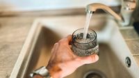 Nanoplasticele din apa de la robinet ar putea ajuta bacteriile periculoase să supraviețuiască / Ce au descoperit cercetătorii despre E. coli