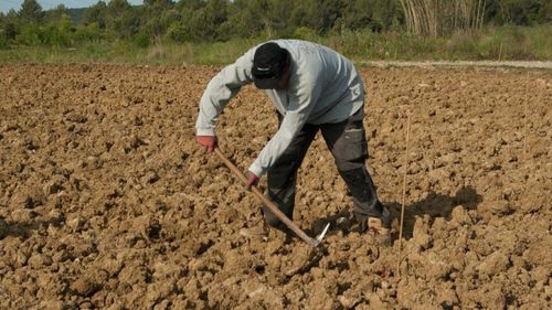 Tehnologia aduce progres, dar și dispariția multor joburi / De ce agricultura nu este amenințată / Angajatorii prevăd crearea a peste 35 de milioane de locuri de muncă în sector la nivel mondial