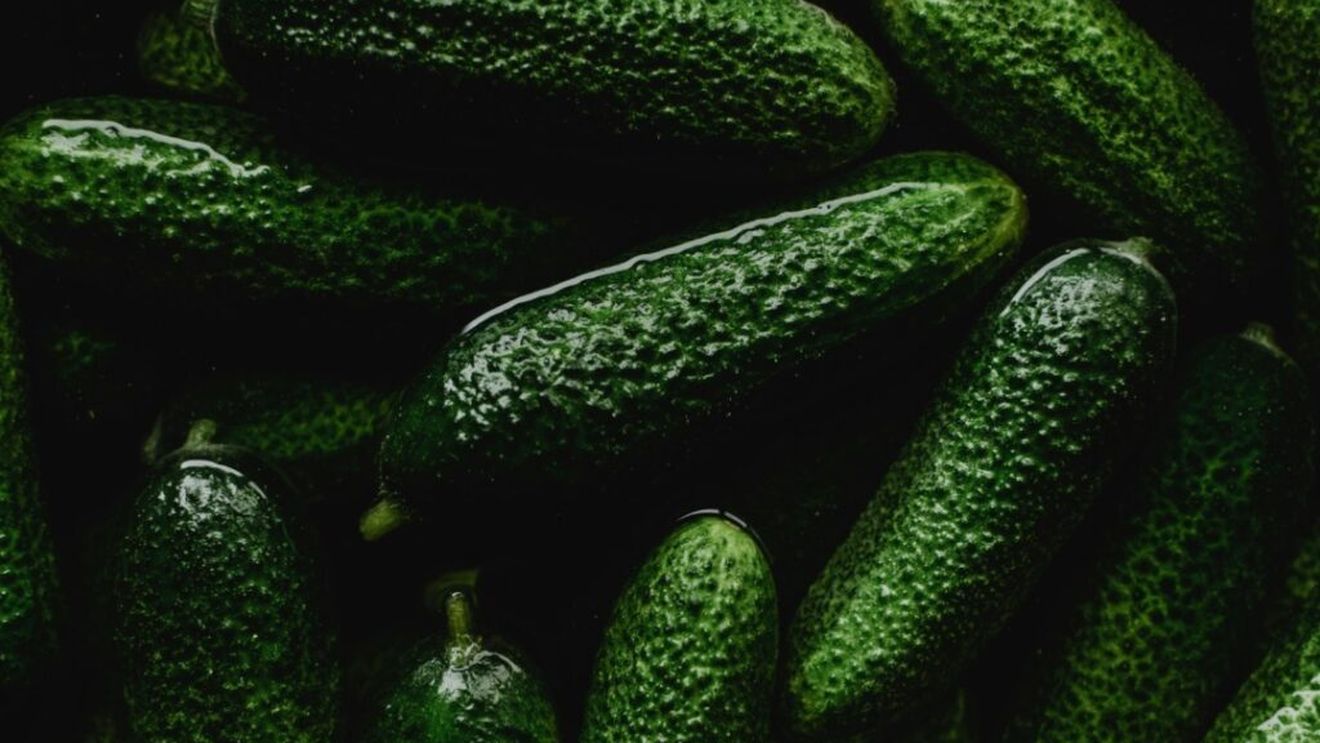 Cultivăm castraveți de 3000 de ani. Cum a ajuns fructul din India pe mesele faraonilor și de acolo în Imperiul Roman. Noi îl creștem din secolele XVII-XVIII