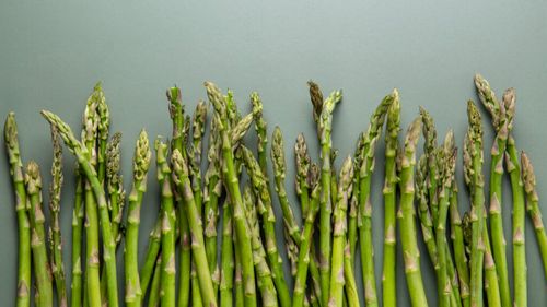 De la un experiment agricol la o afacere în plină dezvoltare / O antreprenoare din Argeș pariază pe cultura de sparanghel
