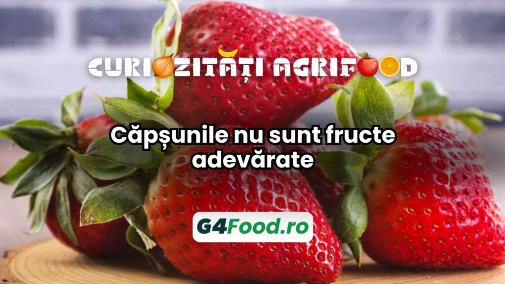 Curiozități agri-food 09 decembrie: Căpșunile nu sunt fructe adevărate